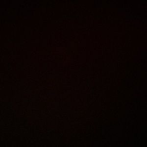 Meet your Posher, Savannah